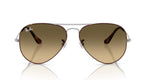 Ray Ban 3025 Aviator Large